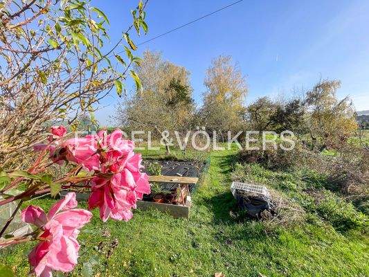 Urlaubsgefühl von zu Hause aus