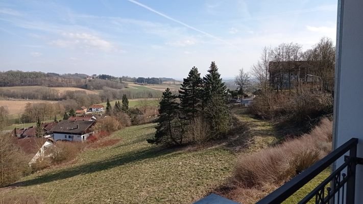 Ausblick