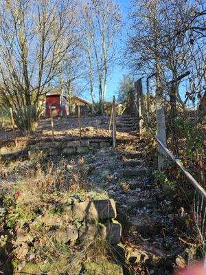 WhatsApp Bild 2025-11-24 um 09.28.21_0fd60db6.jpg