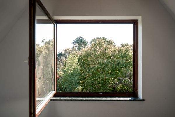 Aussicht in den Garten