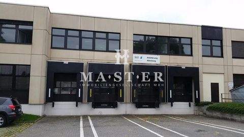 Raunheim Halle, Raunheim Hallenfläche