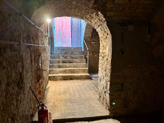 33- Kellerzugang.jpeg