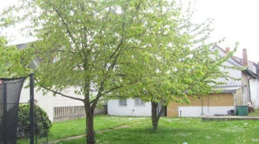 2025-08-09 20_34_43-IKIC Kämmern.pptx - PowerPoint