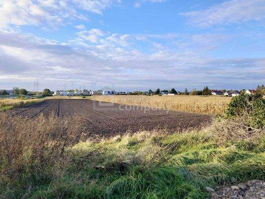 Freier Grünblick Richtung Leithagebirge
