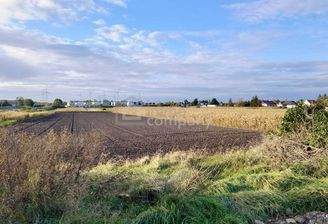 Freier Grünblick Richtung Leithagebirge