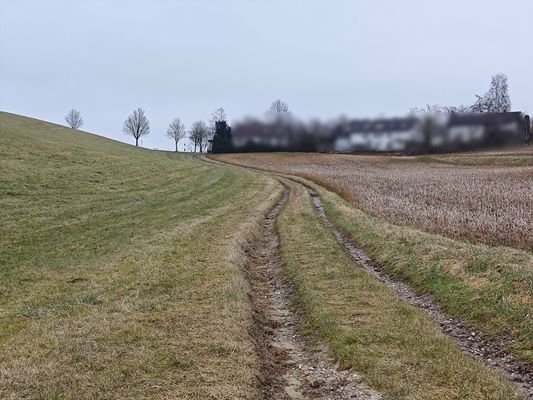 landw. Zufahrt.jpg