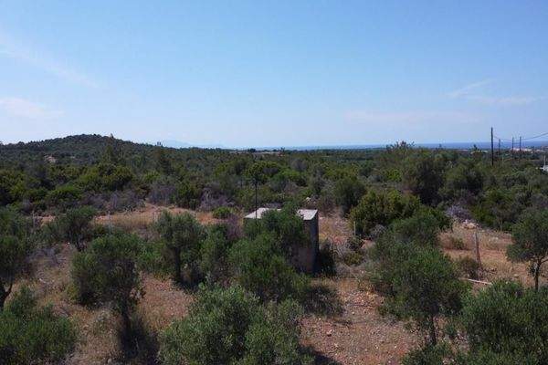 Kreta, Mouzouras: Flaches Grundstück mit Panoramablick zu verkaufen