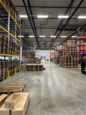 Blick Halle 2009 / 2019