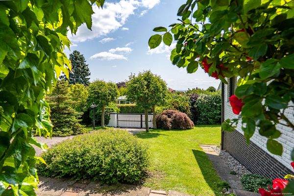 Blick zur Grundstückseinfahrt