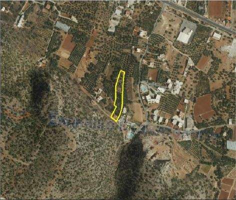 Kreta, Malia: Baugrundstück am Stadtrand zu verkaufen