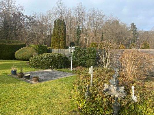 Blick in den Garten.jpg