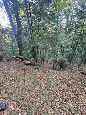 20230912_093552 (Copy)
