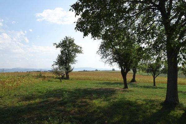 Elakfoto-182.jpg
