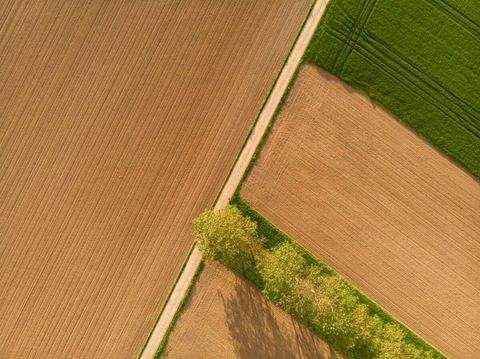 Illertissen Bauernhöfe, Landwirtschaft, Illertissen Forstwirtschaft
