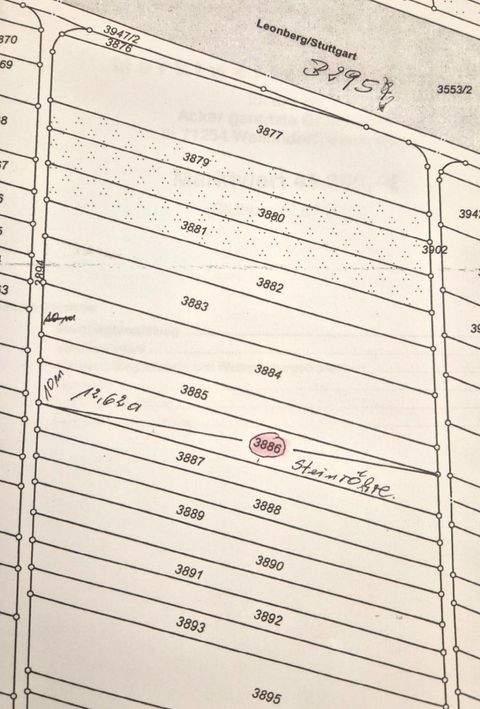 Weilimdorf Bauernhöfe, Landwirtschaft, Weilimdorf Forstwirtschaft