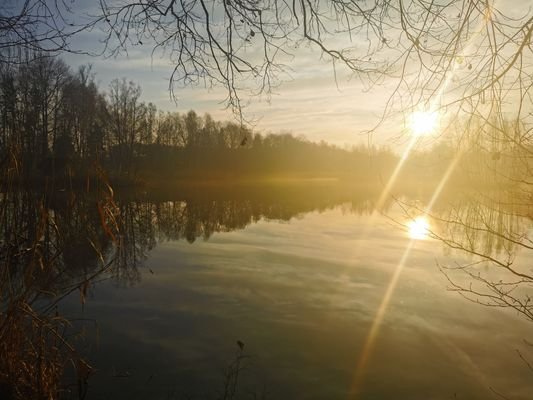 Natur pur