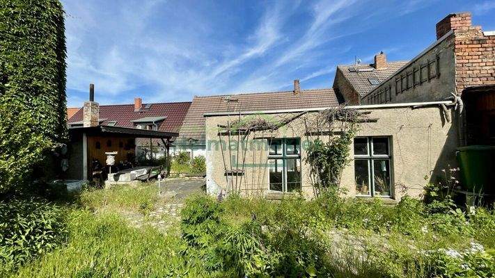 Blick aus dem Garten