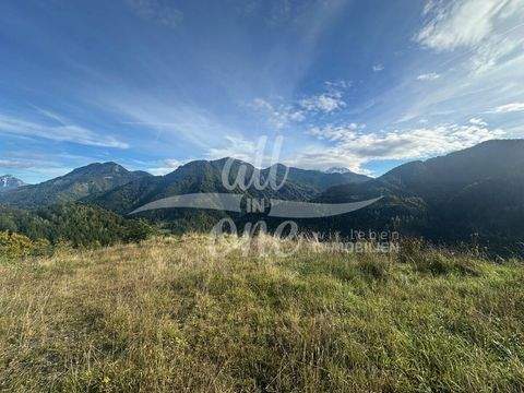 Bad Eisenkappel Bauernhöfe, Landwirtschaft, Bad Eisenkappel Forstwirtschaft