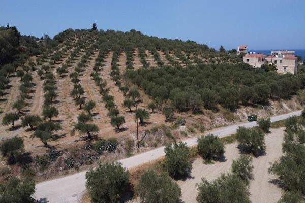 Kreta, Kalyves: Weitläufiges Grundstück mit Meerblick zu verkaufen