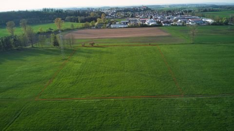 Schemmerhofen Bauernhöfe, Landwirtschaft, Schemmerhofen Forstwirtschaft