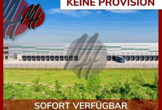 INFOS UNTER: 06171-586000