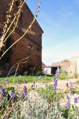 naturbelassener Garten