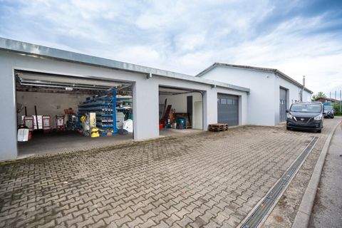 Klettgau / Grießen Halle, Klettgau / Grießen Hallenfläche