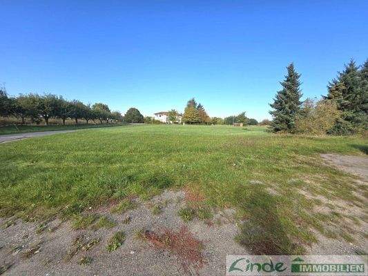 Freifläche für Bebauung