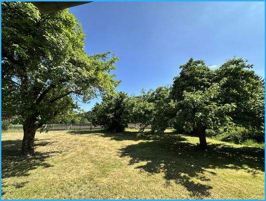 Parkähnliches Grundstück