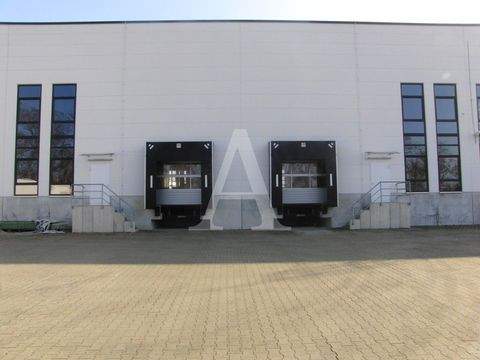 Frechen Halle, Frechen Hallenfläche