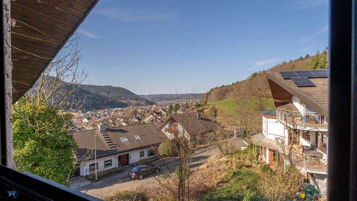 Die Aussicht aus dem Speicher/Ausbaureserve