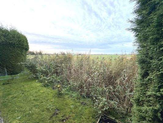 Freier Blick nach links