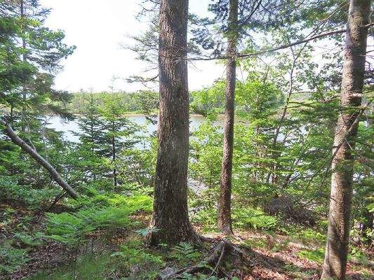 Cape Breton - Cleveland - Wunderschönes Fluss-Ufer