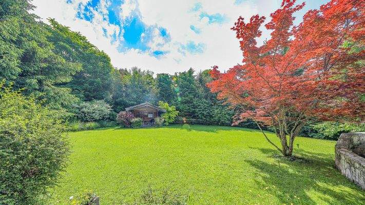 KITZIMMO-Baugrundstück mit Altbestand in Toplage auf der Bichlalm - Immobilien Kitzbühel.