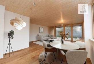 Wohn- und Essbereich