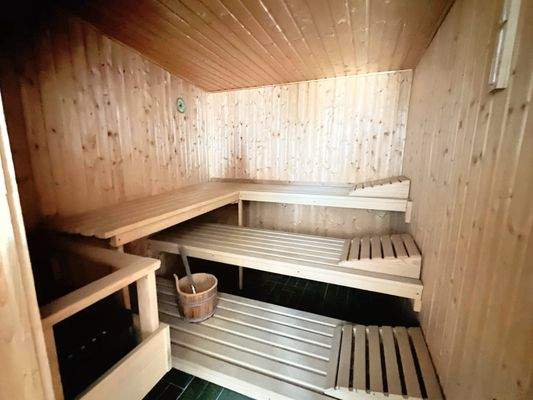 Haus-Linden-Leihgestern-Keller- Sauna.JPEG