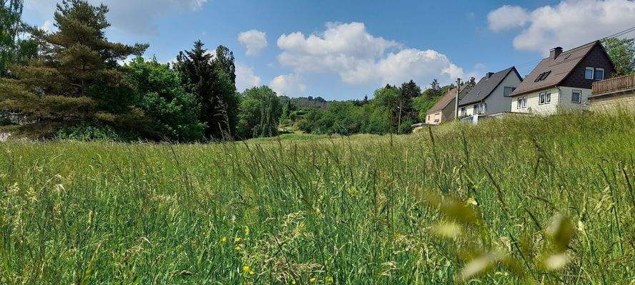 Aussicht ins Grüne
