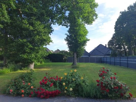 Gartenansicht im Sommer