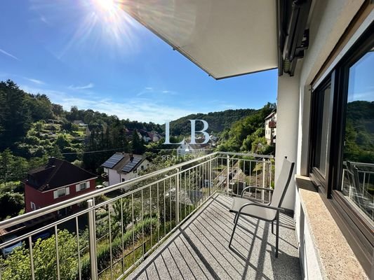 Bild 19