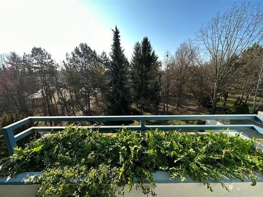 Ausblick ins Grüne