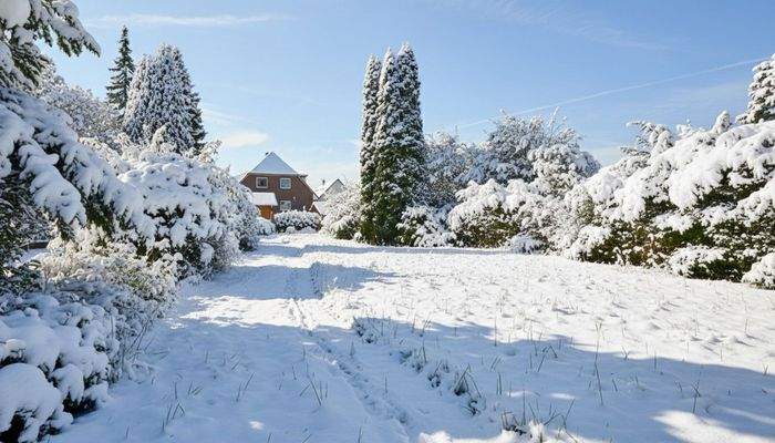 Platz für 2 Einzelhäuser ...