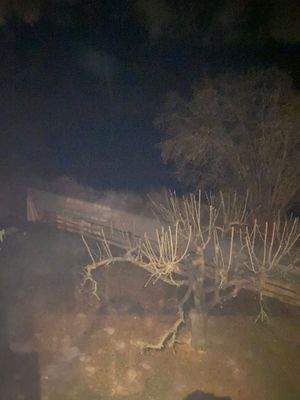 Blick vom Balkon.JPG