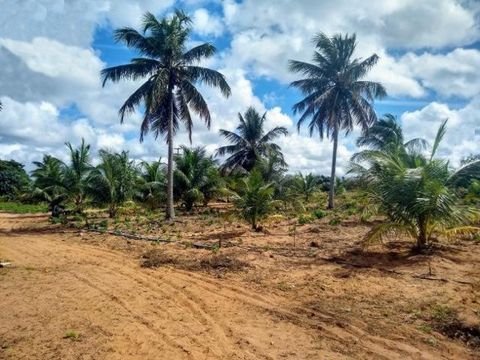 Manaus Grundstücke, Manaus Grundstück kaufen