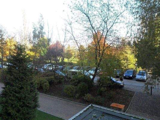 Blick vom Balkon im Sommer