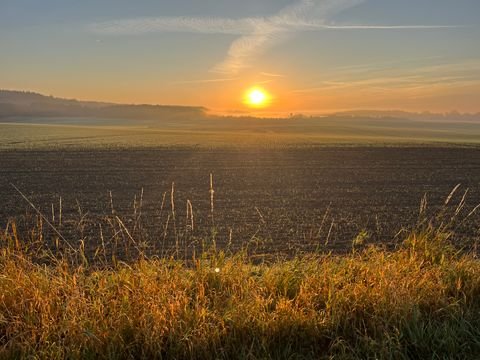 Teterow Bauernhöfe, Landwirtschaft, Teterow Forstwirtschaft