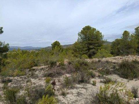 Monovar Grundstücke, Monovar Grundstück kaufen