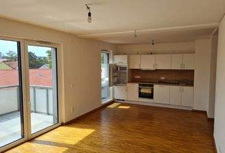 Wohnzimmer mit offener Küche