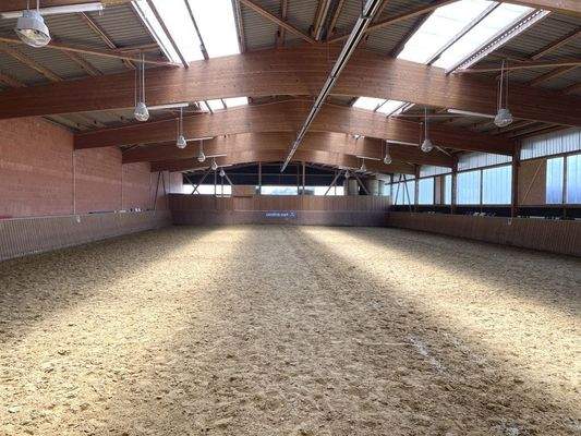 Blick in die Longierhalle