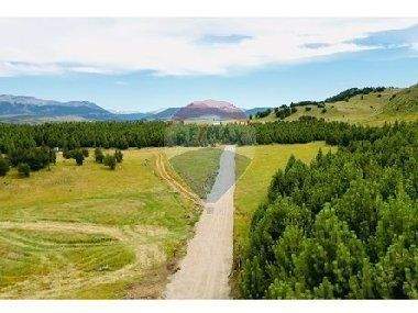 Coyhaique Büros, Büroräume, Büroflächen 