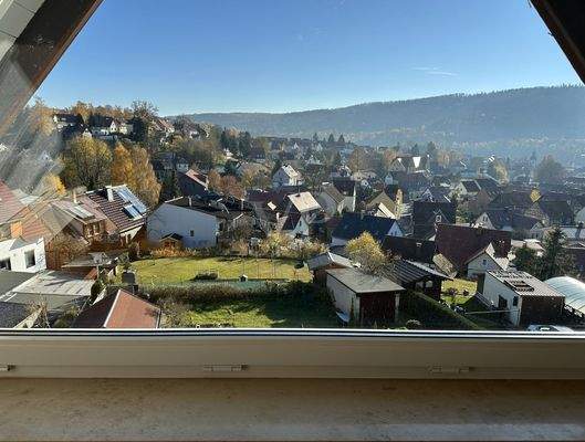 Blick über Zella-Mehlis